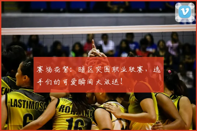 赛场花絮：暗区突围职业联赛，选手们的可爱瞬间大放送！